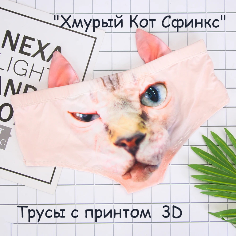 Трусы с ушками принт 3D Хмурый Кот Сфинкс. В подарочной упаковке + тату! Размер универсальный S/M (38-46) - Pic n 308769