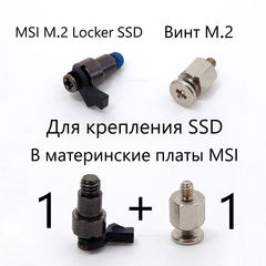 Крепеж MSI M.2 Locker EZ Clip kit SSD E27-7D25010-H75 Mounting Screw Фиксатор для установки SSD дисков в материнские платы MSI + стандартный Винт М2